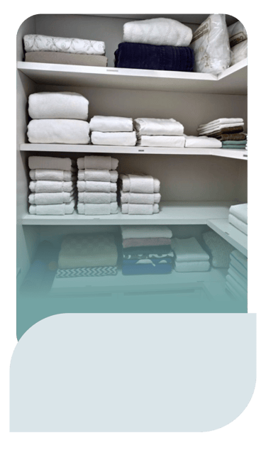 Maysa Faracco Personal Organizer Campo Grande MS