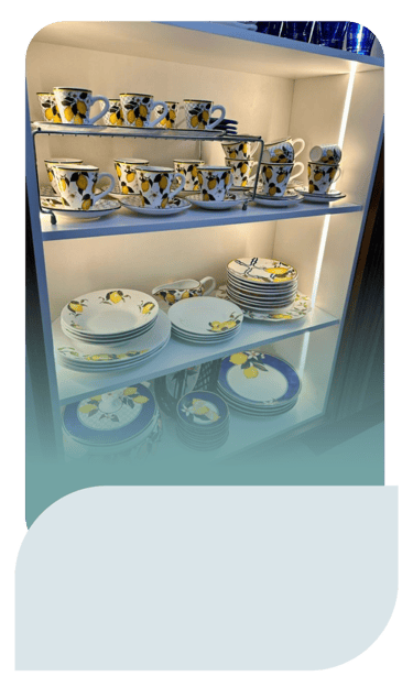 Maysa Faracco Personal Organizer Campo Grande MS