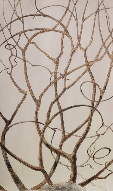 Ink and graphite drawing depicting tall branches cradling a bird nest 