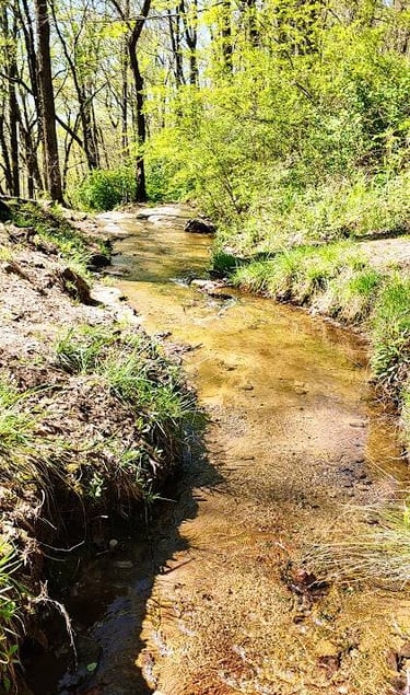 Huntsville, AL - Carter's Spring stream off North Plateau Loop in Monte Sano Park