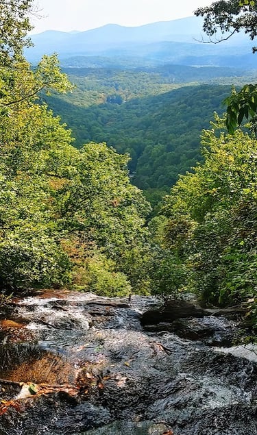 Amicalola Falls at the top where the creek begins it's 729 foot fall over the cliff