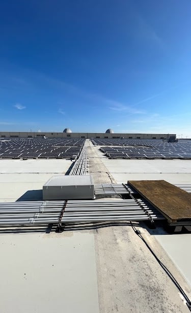 Roof Cleaning