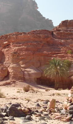 エジプトの砂漠旅行