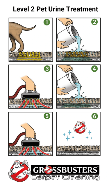 Grossbusters Pet Urine Removal, Level 2 - Diagram