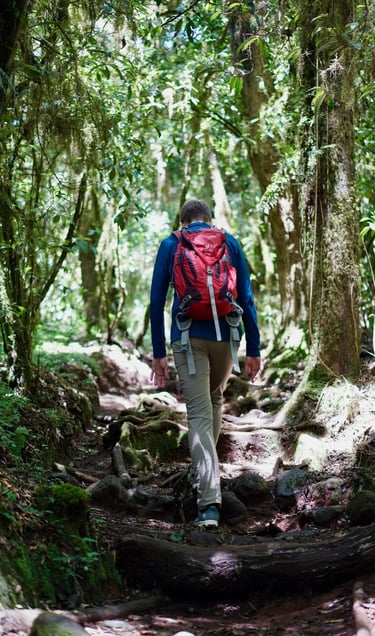 a man walking on a trail in the woods