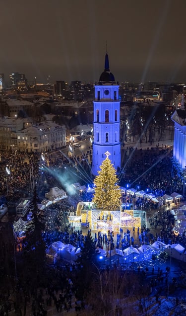 Go Vilnius. Saulius Ziura 2023.