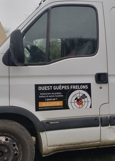 Un professionnel de la désinsectisation dans le Finistère