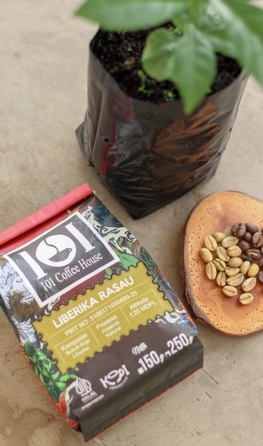 kopi liberika rasau, kuburaya, kalimantan barat produksi 101 coffee house