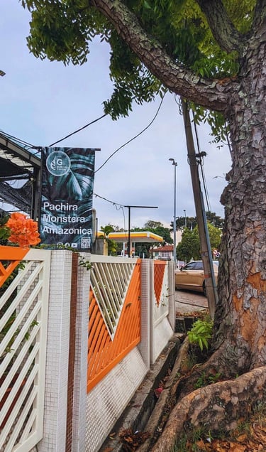 the exterior of birch gurney a local plant nursery and advice center in Penang near gurney drive
