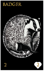 Badger