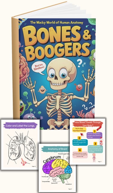 Human Anatomy Book