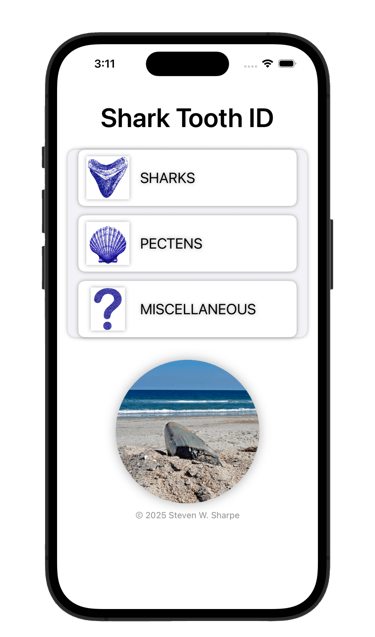 SharkToothID opening screen