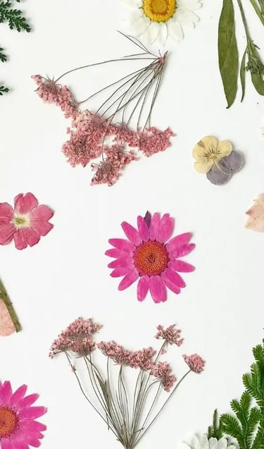 A white background showcasing an arrangement of flowers, symbolising natural beauty and balance
