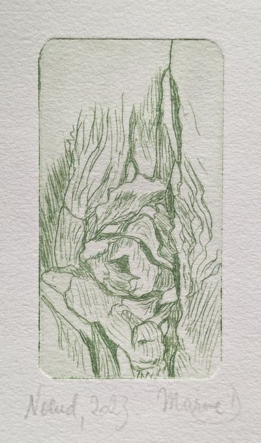 Noeud arbre gravure tetrapak