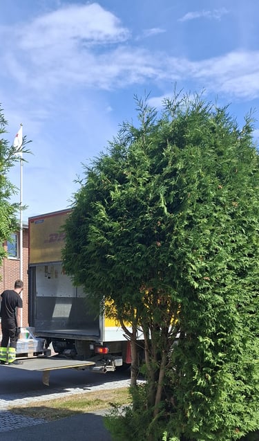 DHL enlève une palette de pots de peinture suédoise  en 2025 pour B to B