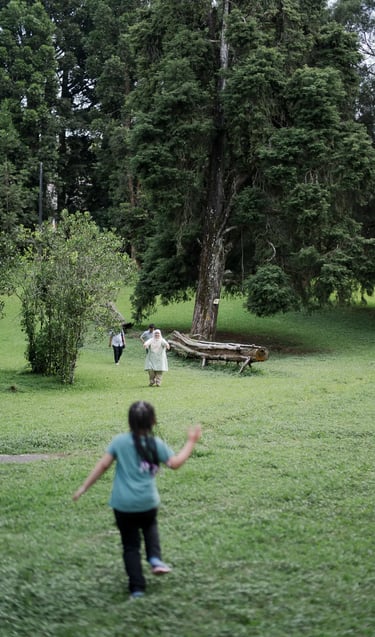 Child exploring the open garden area during a family photography session at Botanical Garden Bedugul.