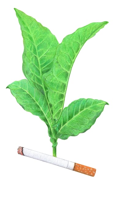 Nicotine illustration