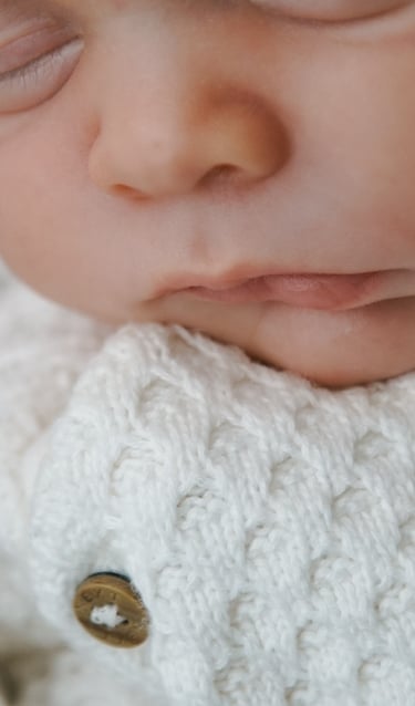 Willow Light Studio maternity session