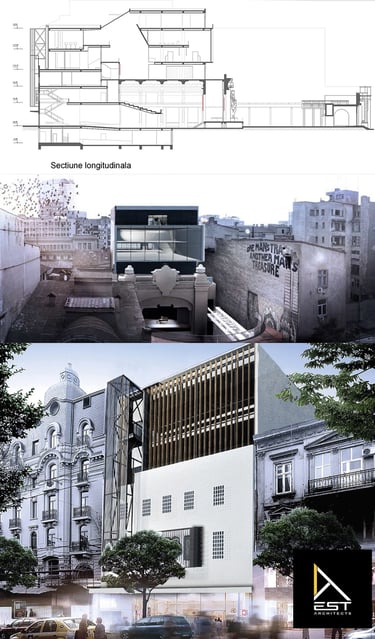 Proiect Cinema Capitol