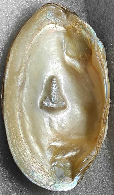"11mm white designer pearl with divine facial carving–cultured using nucleus technique-Shipped worldwide"