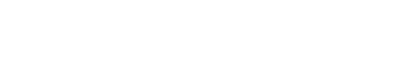 pioneer logo white