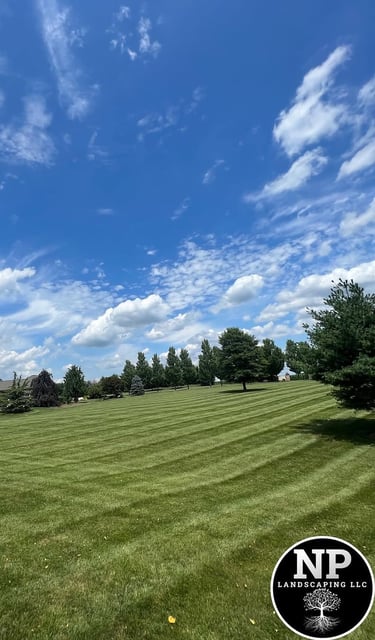 excellent landscaping and hardscaping of grass, stones and trees by NP Landscaping