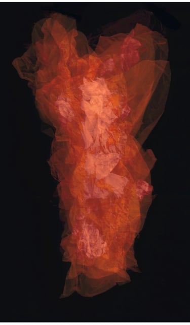 an abstract photo composition