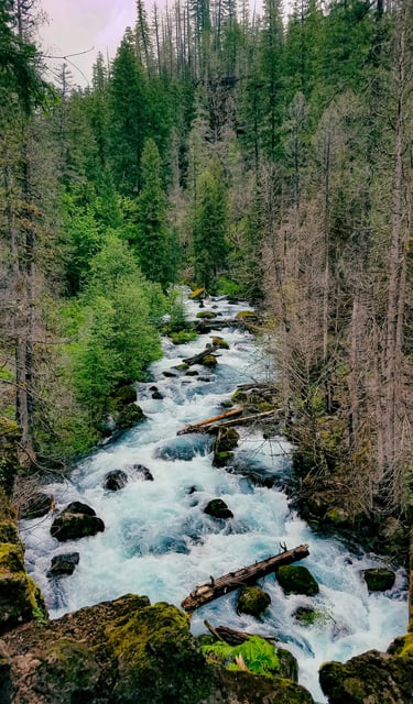 Yacolt, WA - pretty blue waters of the East Fork Lewis River by Moulton Falls
