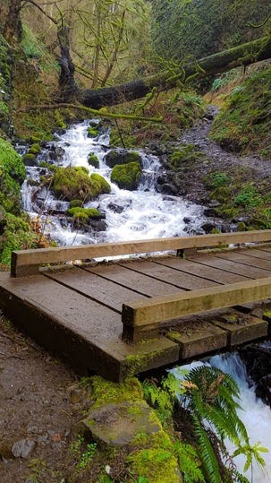 Columbia River Gorge Oregon - cross a footbridge over the creek to Wahkeena Falls viewpoint