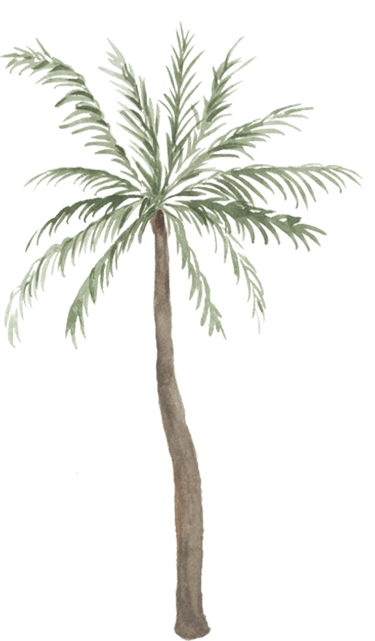 watercolor palm tree