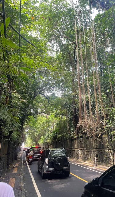 Ubud Bali