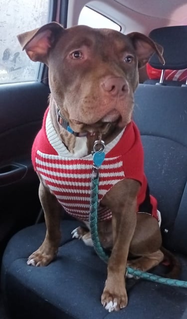 Dean Christmas