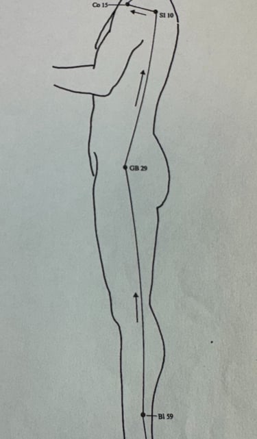 Yang Qiao Mai (Yang Heel Vessel): how we step forward and protect ourselves in the world.