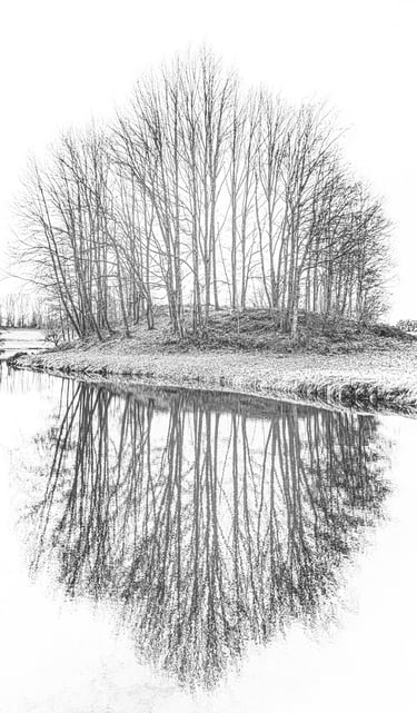 Séries Miroirs ©JM Huriot