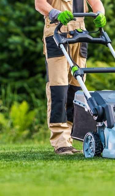 Wir sind da, wenn Ihre Pflanzen uns brauchen Auch der Garten prägt das äußere Erscheinungsbild Ihre