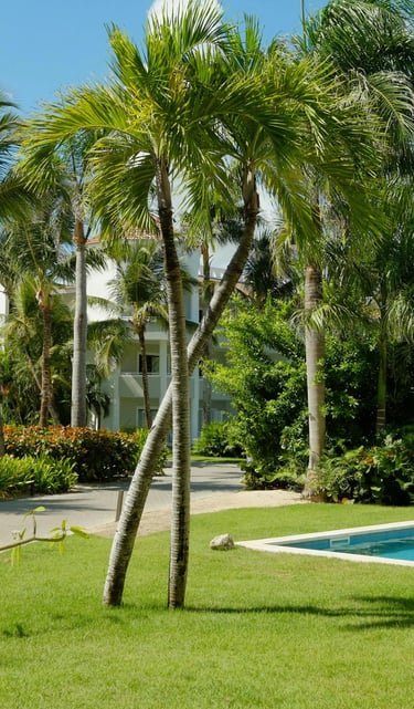 beach home landscaping