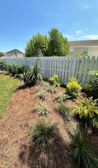 palm tree mulch 