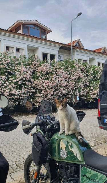 nomad #nomadmototours #royalenfieldeurope #royalenfield #adventuretours #nomadmototoursturkey #motor