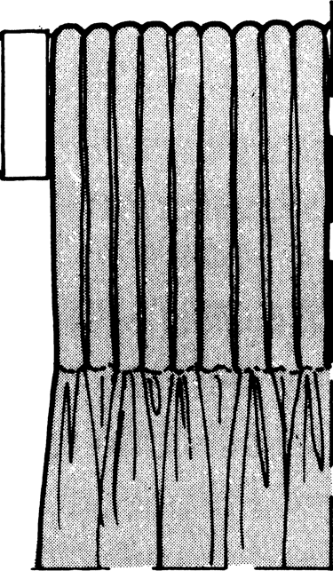 Schéma représentant une tête de rideaux flamande