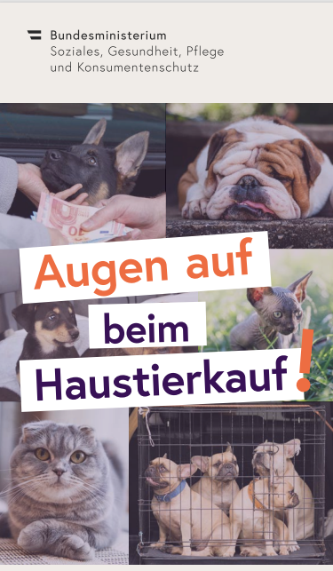 Augen auf beim Haustierkauf 