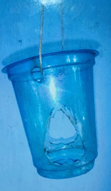 "Innovative method to keep oysters stable underwater for pearl culture–enhanced suspension system for better growth"