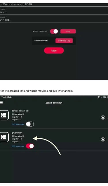 Screenshot of Xtream Codes API login and IPTV playlist setup for streaming live TV channels.