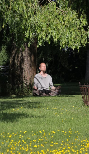 natuurcoaching meditatie wilg belgië erik boekhoven be in nature