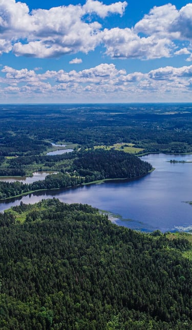 a view of a lake and a forest