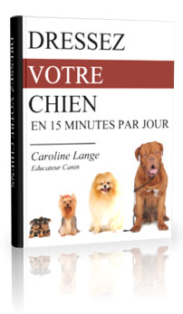 livre PDF contenant des techniques de dressage pour chien, applicables en 15 minutes par jour
