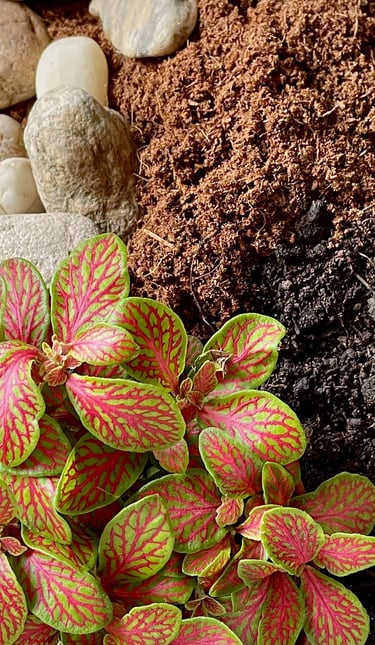 Materiaux de réalisation bocal terrarium
