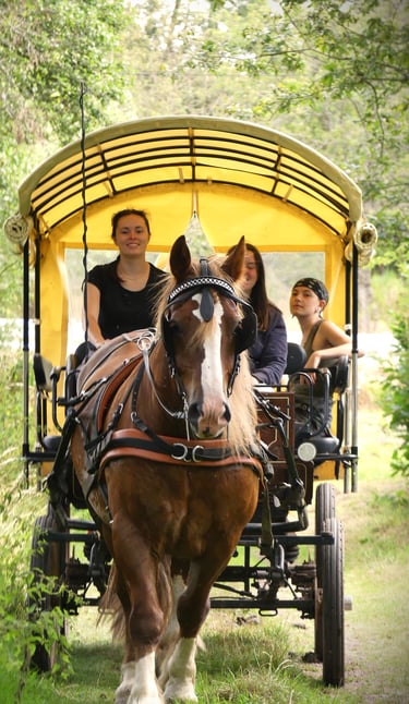 une balade visite foret brocéliande en caleche contes