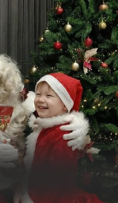 Kalėdų senelis į namus