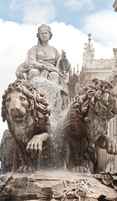 Abogados de Madrid especialistas en recursos de amparo madrid