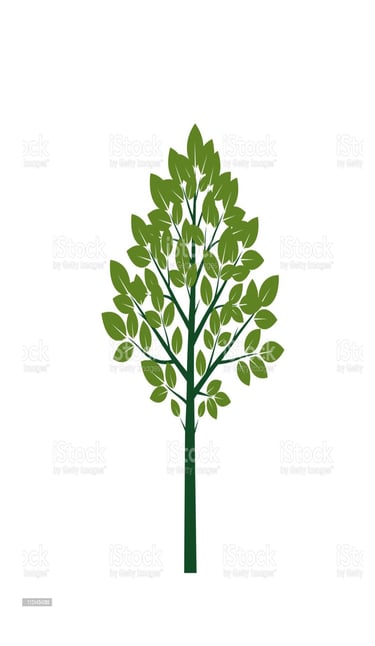 Silver Birch alliance